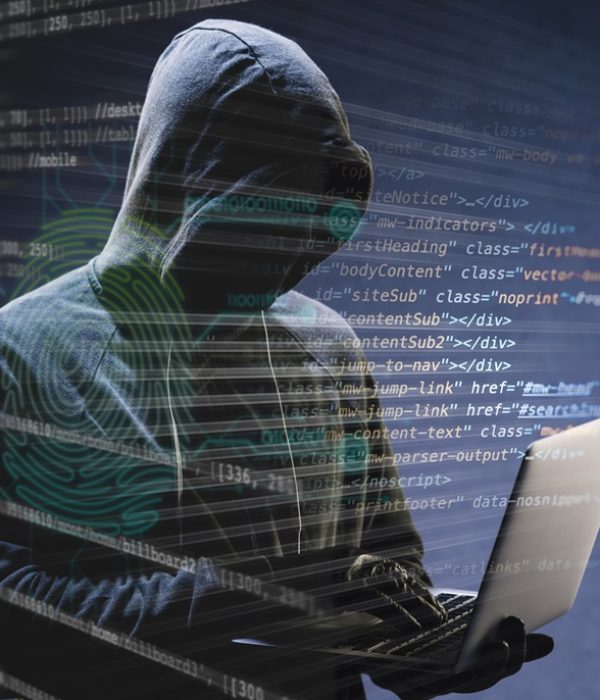 Jenis Serangan DDoS/freepik